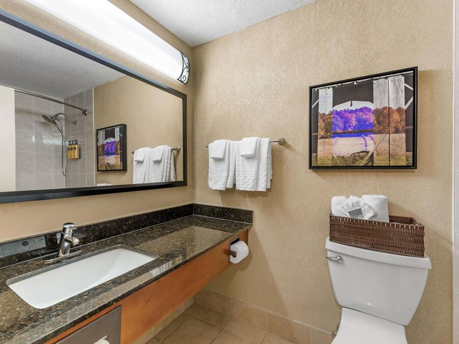 Um banheiro com pia, espelho, porta-toalhas, vaso sanitário e um quadro na parede.