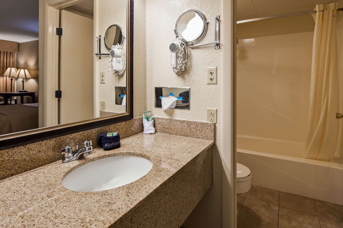 combined shower/bathtub, free toiletries, hair dryer, towels