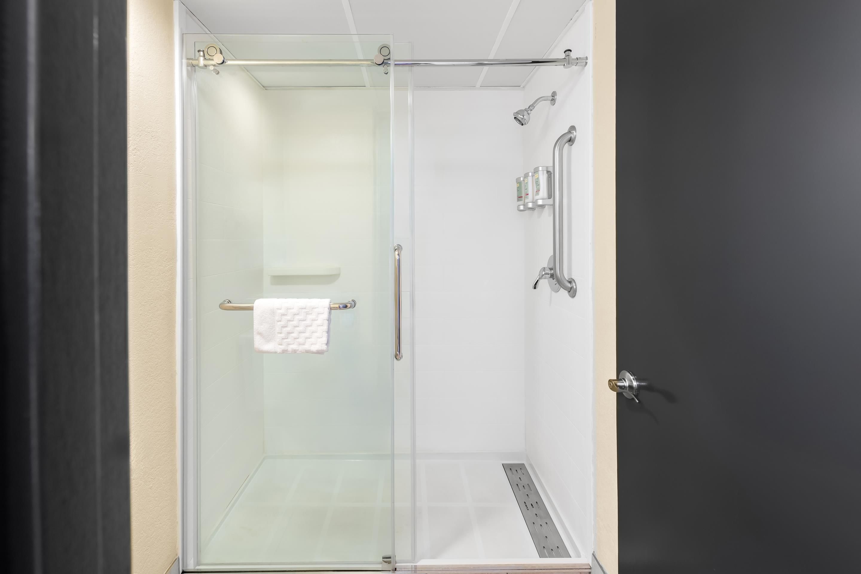 Une douche fermée par des parois de verre, avec un porte-serviettes blanc, une douchette à main et un distributeur de savon fixé au mur.