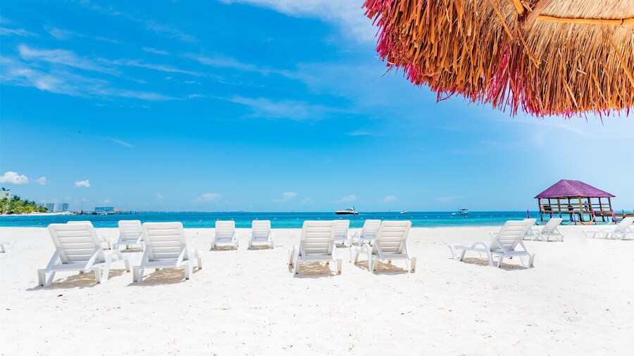 Oasis Palm - All Inclusive