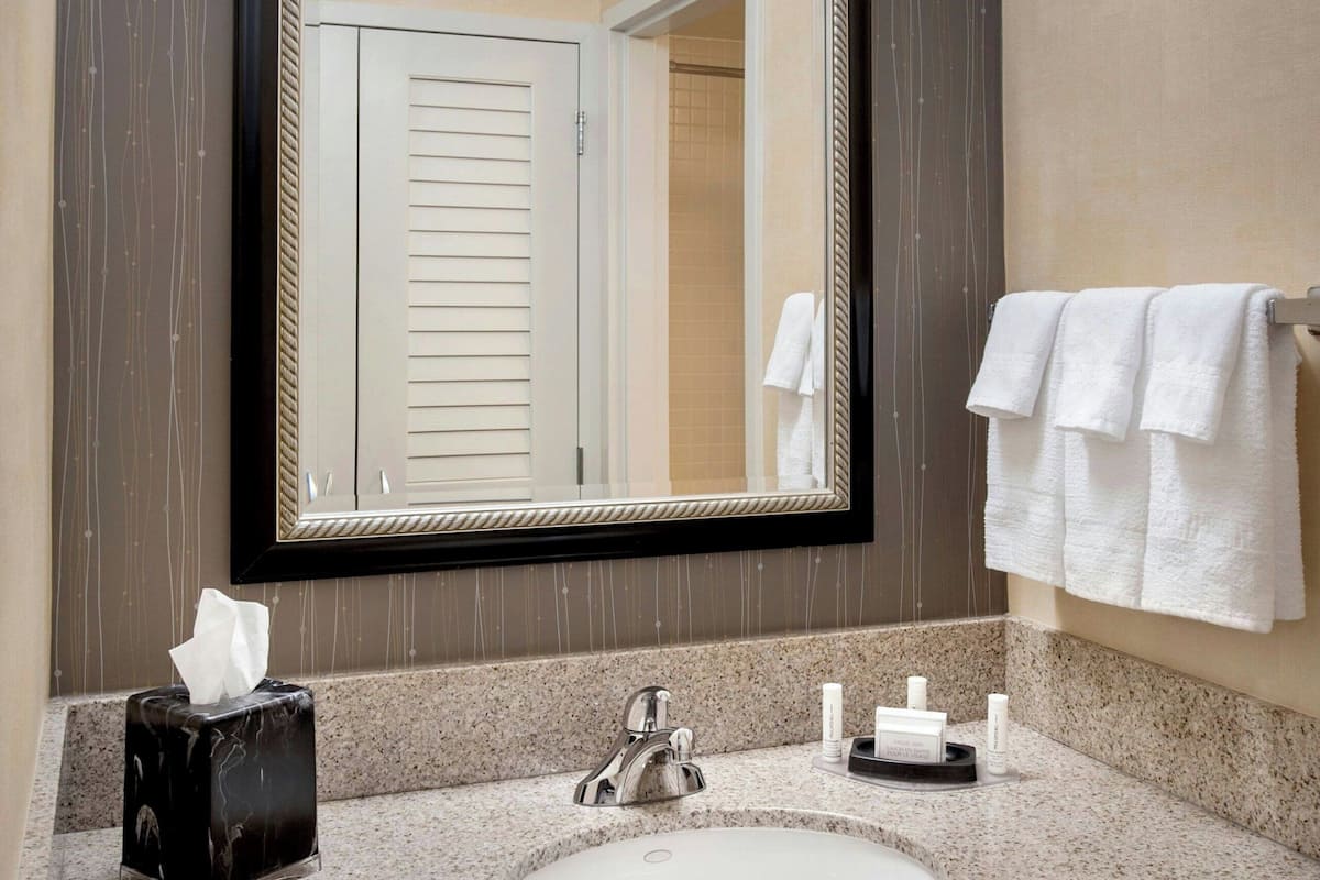 combined shower/bathtub, free toiletries, hair dryer, towels