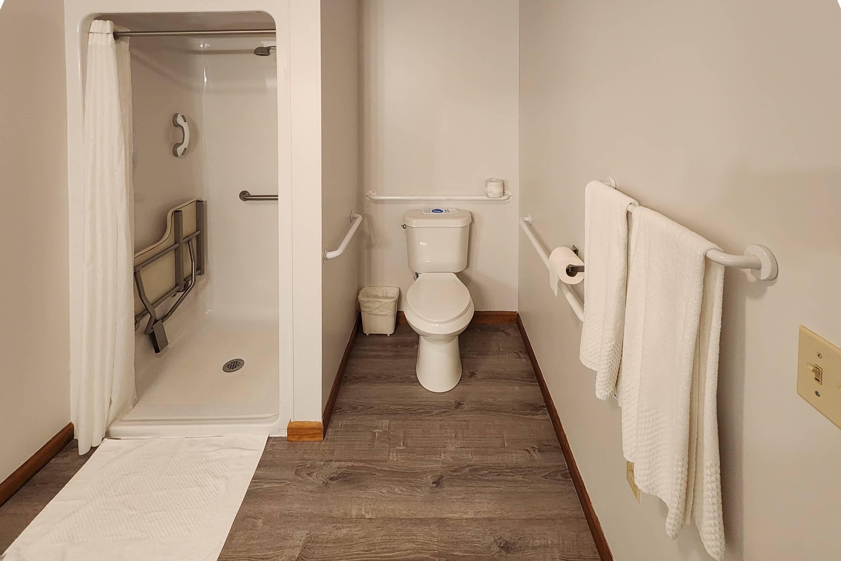 A bathroom with a shower, toilet, and handrails.