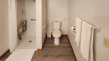 A bathroom with a shower, toilet, and handrails.