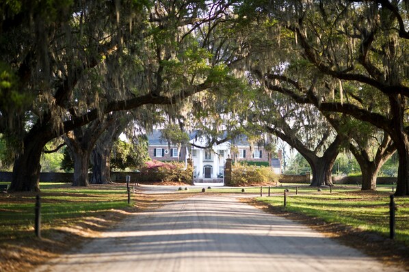 A paved pathway leading to a building with large trees and hanging moss. - Hotel Indigo Mount Pleasant by IHG (Mount Pleasant)