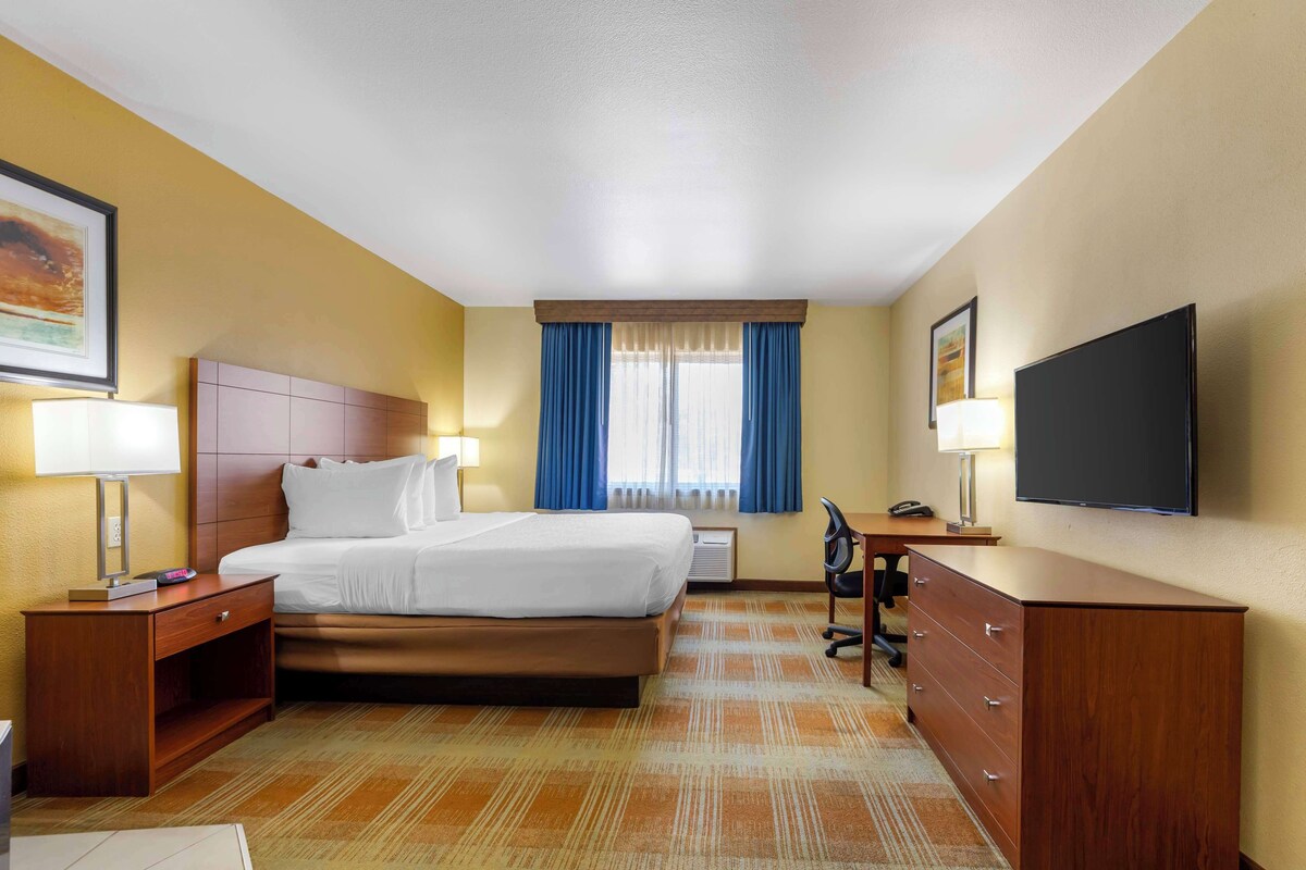 A hotel room with a bed, desk, chair, TV, and a window with curtains.