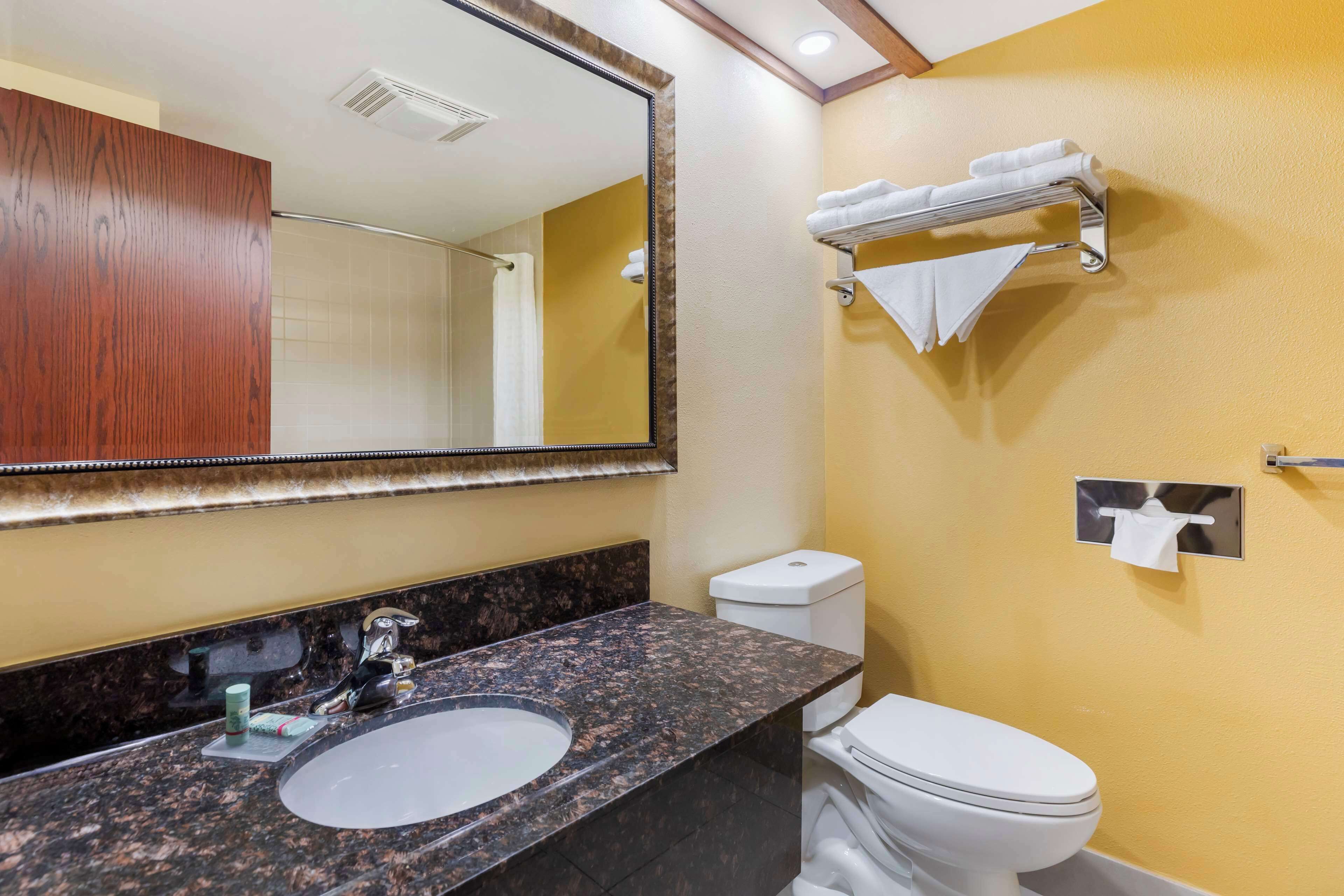 combined shower/bathtub, free toiletries, hair dryer, towels