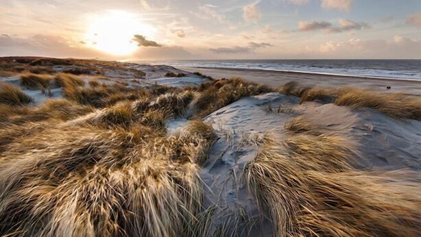 A beach with dunes and a sunset. - Carlton Beach (The Hague)