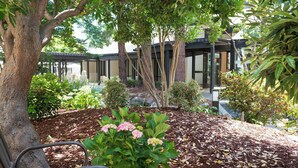 Un espacio al aire libre con jardines, un banco, un árbol y un edificio con ventanas grandes.