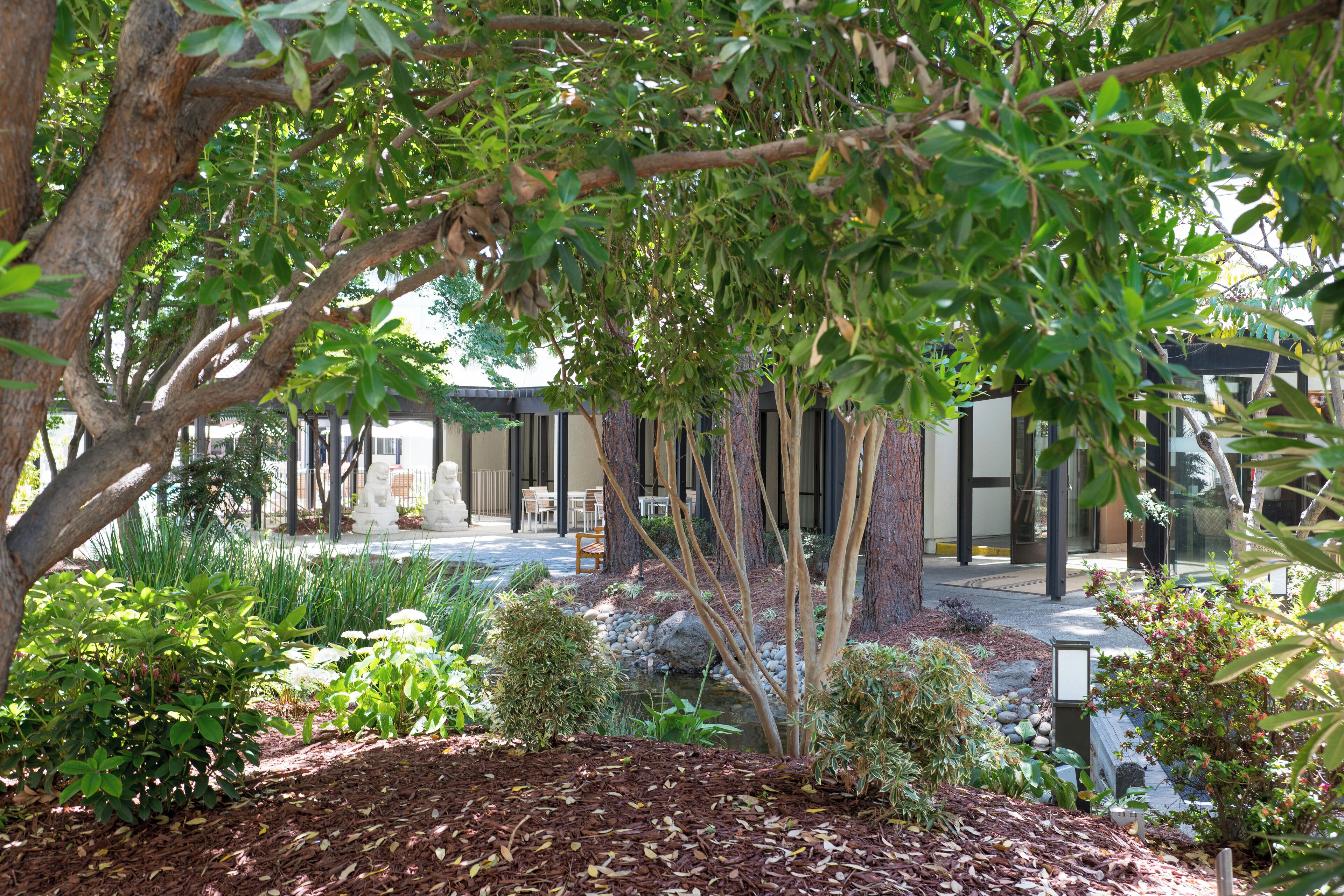 Jardín