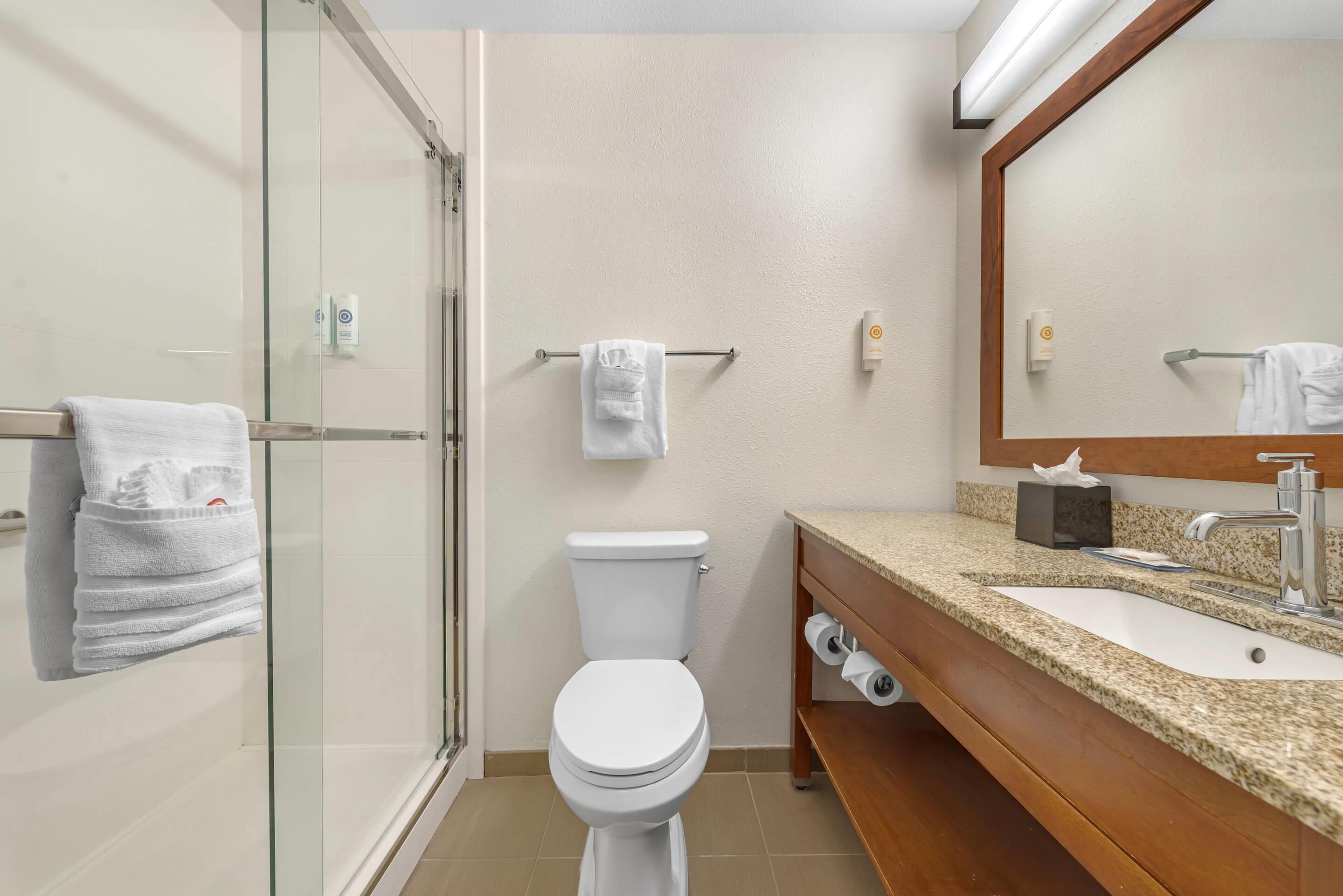 suite, non smoking (1 king bed) | 1 bedroom, premium bedding, desk, laptop workspace