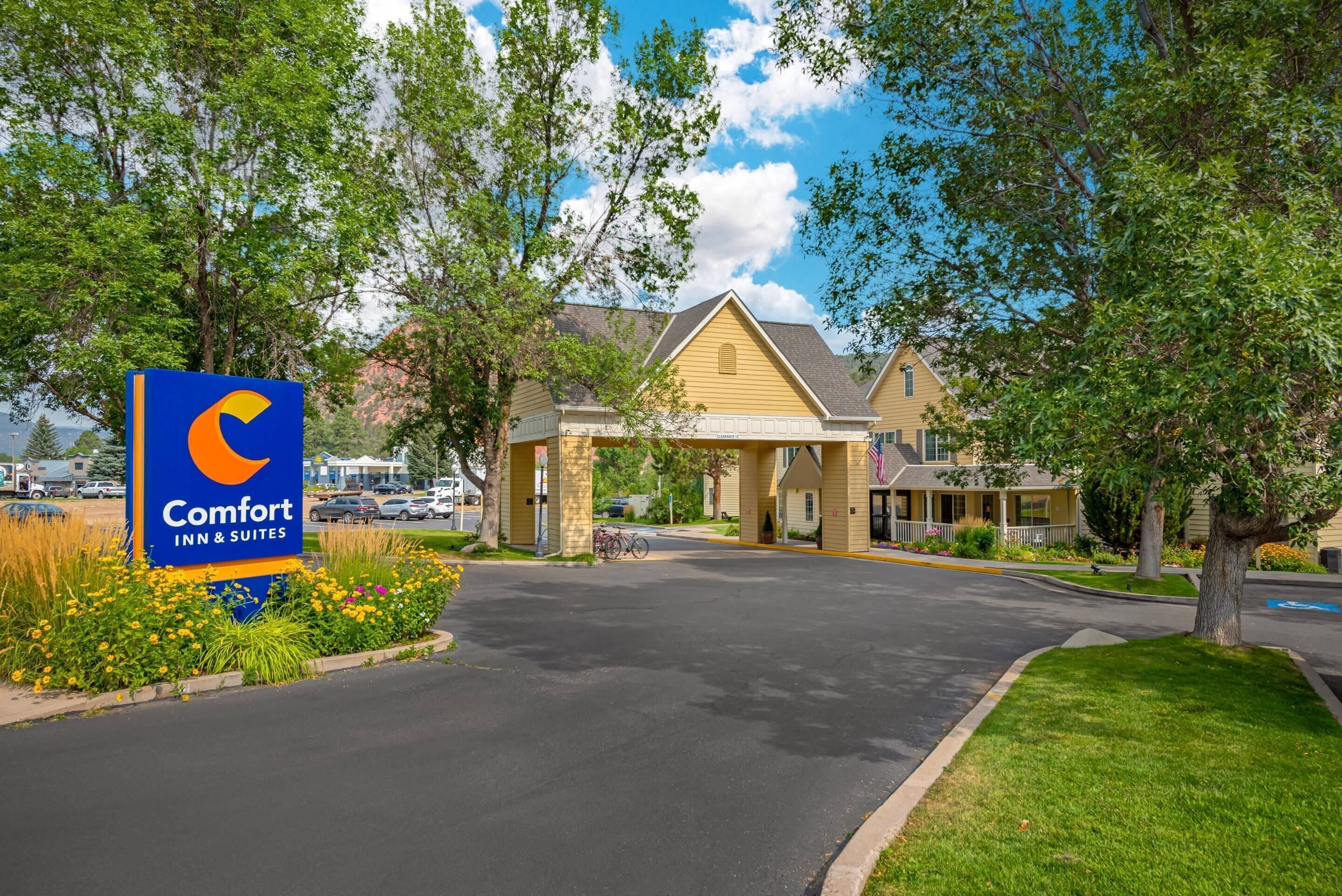 A Comfort Inn & Suites hotel entrance with a clear driveway, surrounded by trees and a parking lot.