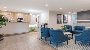 A modern reception area with a wooden reception desk, blue armchairs, and a coffee table.