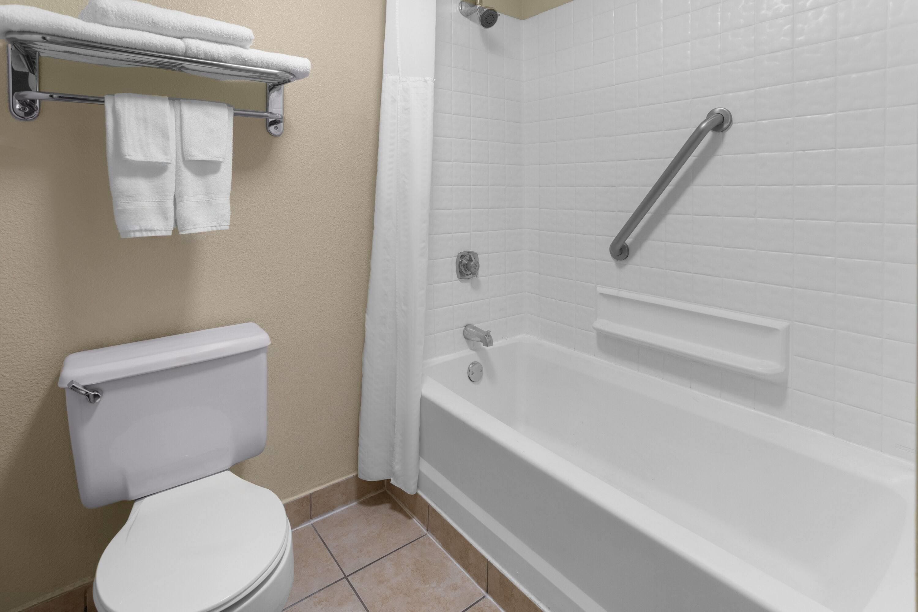 Een badkamer met toilet, bad en douche.