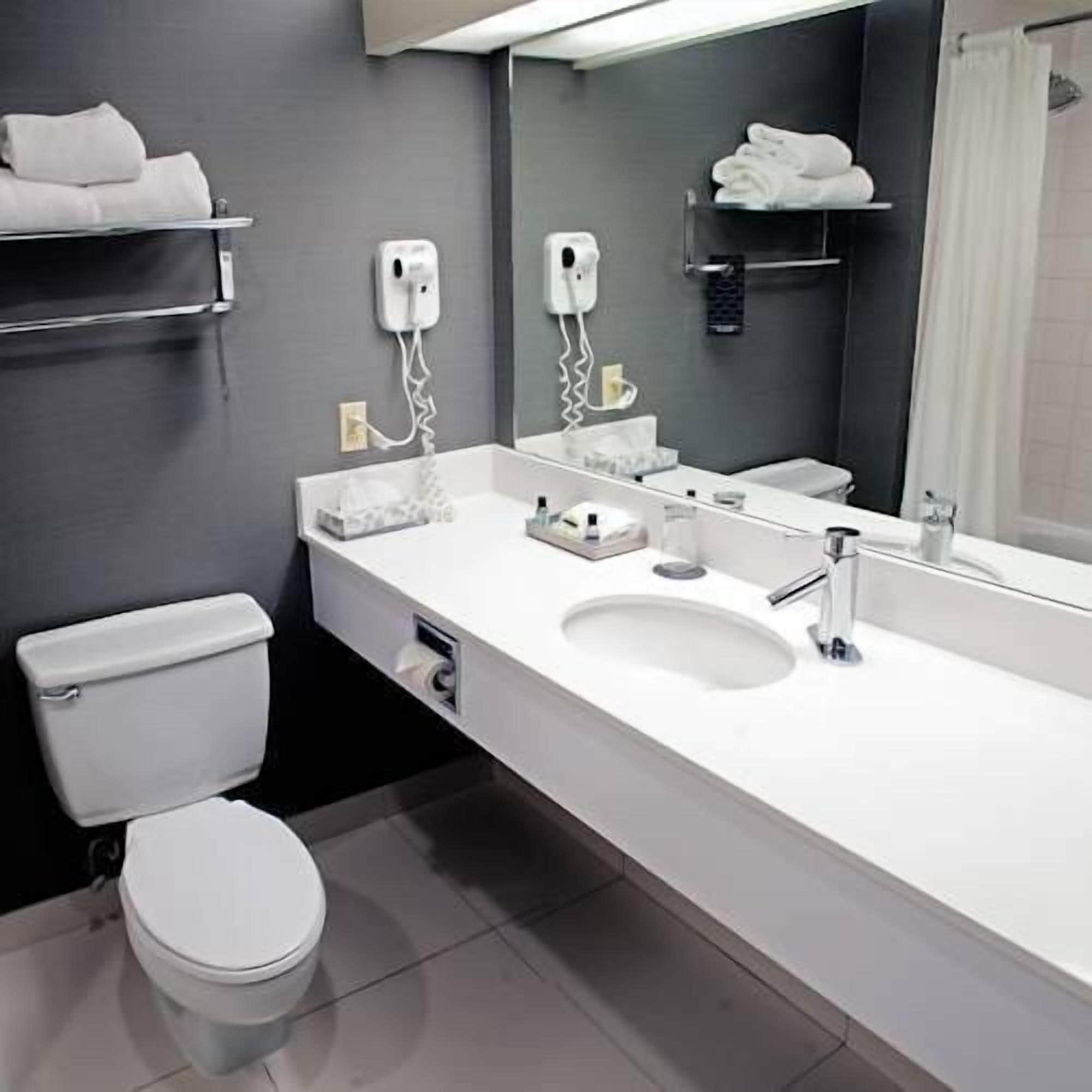 free toiletries, hair dryer, towels