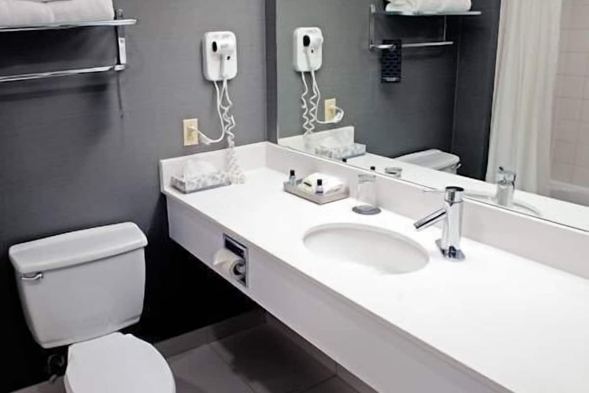 free toiletries, hair dryer, towels