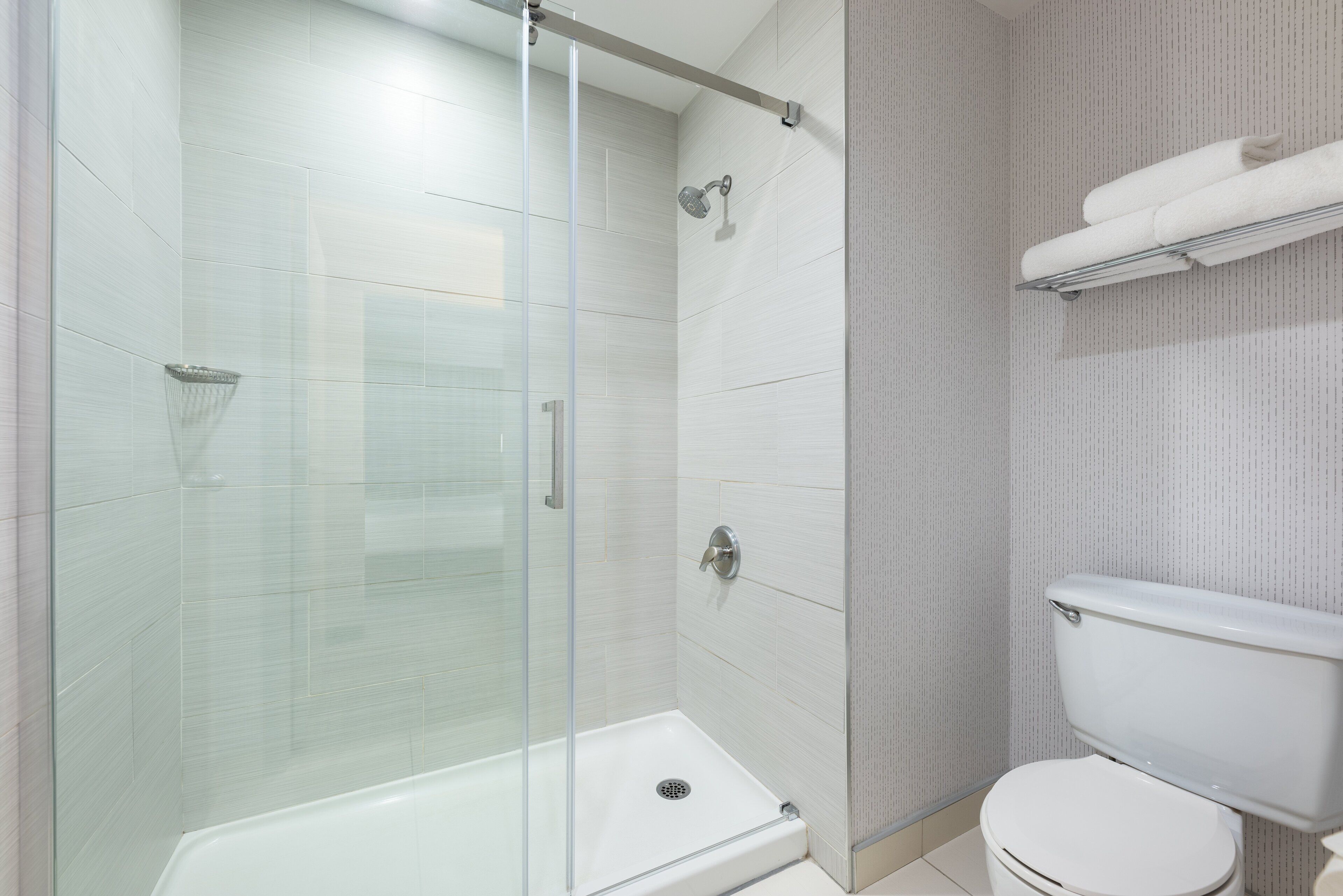 A modern bathroom with a glass-enclosed shower, a white toilet, and a towel rack.