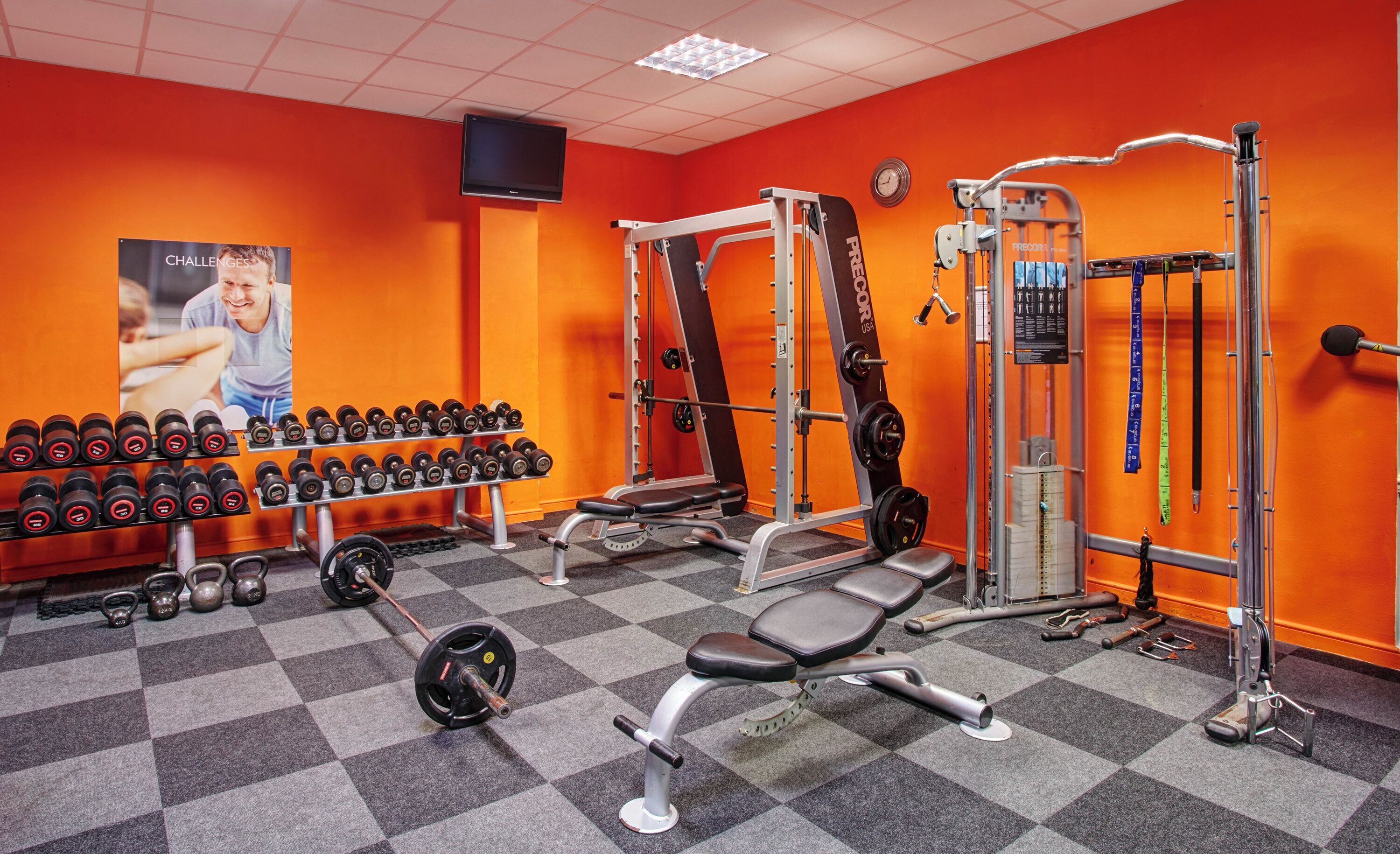 A gym with weightlifting equipment, dumbbells, and a bench.