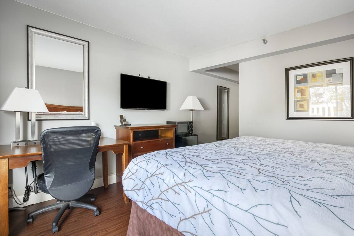 A hotel room with a bed, desk, chair, TV, and a framed picture on the wall.