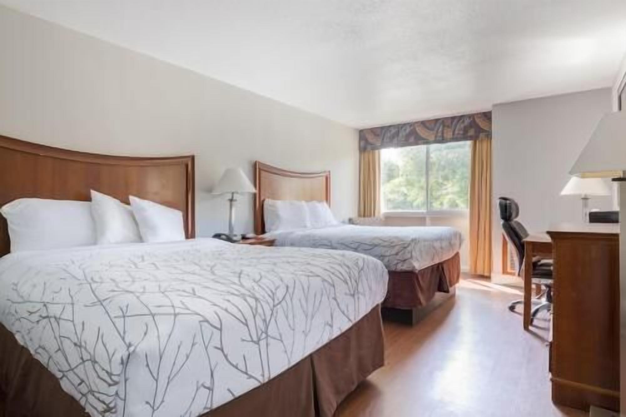 Sábanas italianas Frette, ropa de cama de alta calidad y edredón 