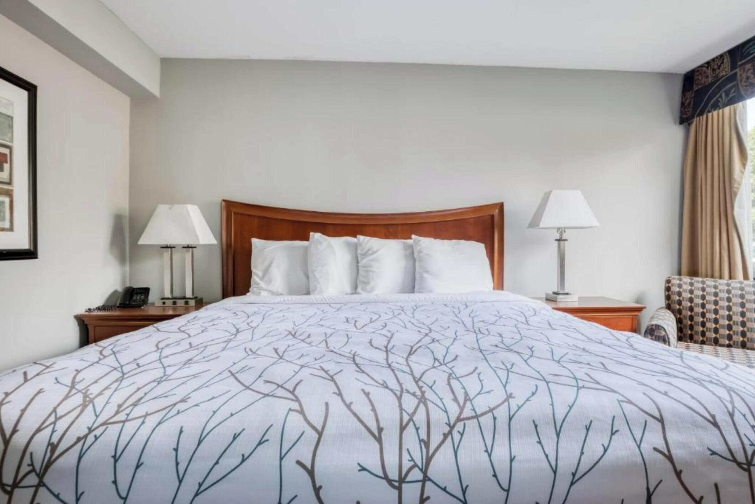A hotel room with a large bed, two bedside tables with lamps, a chair, and a framed picture on the wall.