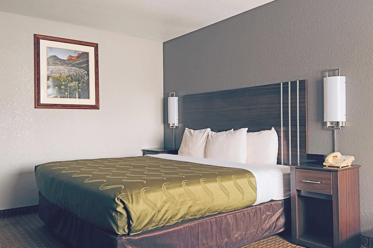 Standard Room, 1 King Bed, Non Smoking | Desk, iron/ironing board, rollaway beds, free WiFi
