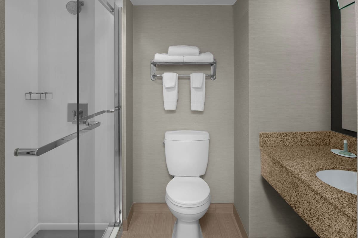 free toiletries, hair dryer, towels