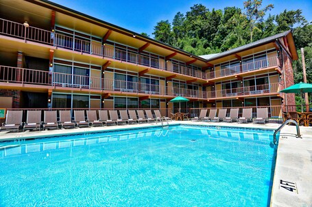 Wild Bear Inn - Image 2
