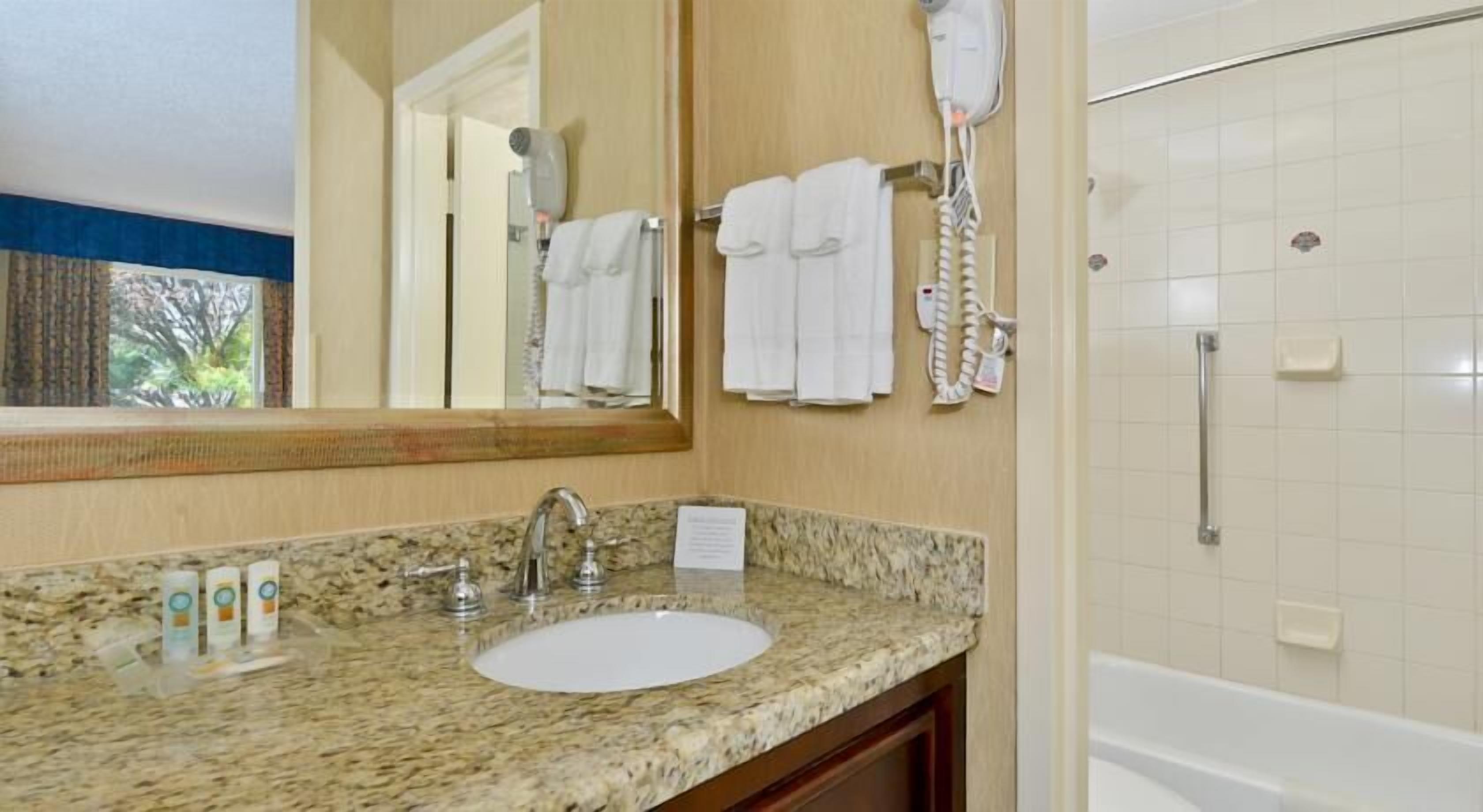 standard room, 1 king bed, non smoking, jetted tub | bathroom | combined shower/bathtub, eco-friendly toiletries, hair dryer, towels