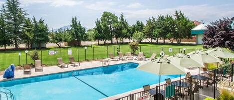 Una piscina rectangular con valla metálica, rodeada de sillas de descanso y sombrillas, y un césped con árboles.