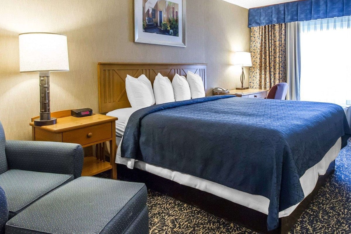 standard room, 1 king bed, non smoking | premium bedding, desk, blackout curtains, iron/ironing board