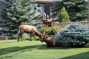 Exterior - Quality Inn near Rocky Mountain National Park (Estes Park)