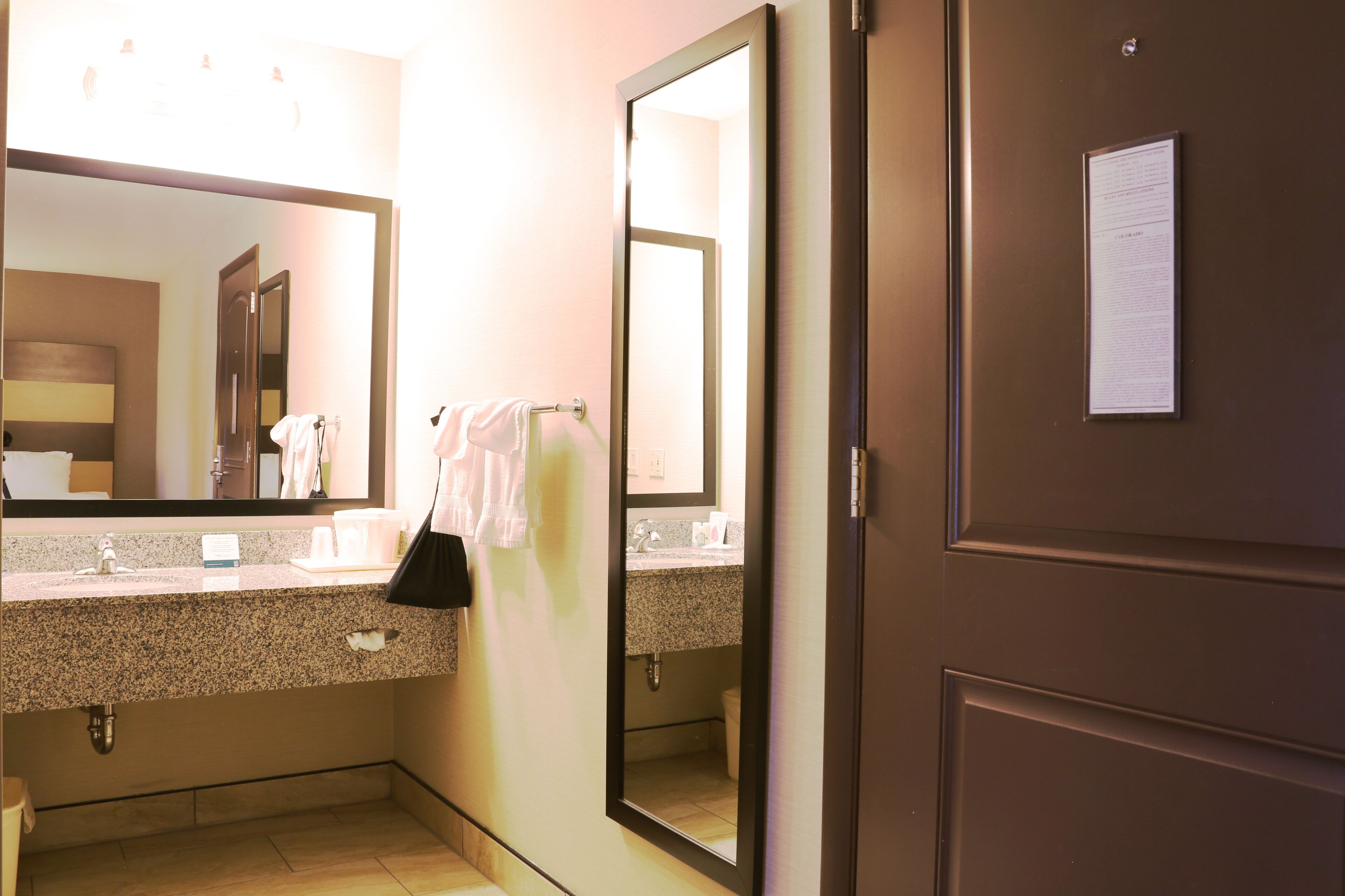 Un bagno d'hotel con lavabo su piano in granito, uno specchio grande e un portascope.