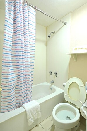 Kostenlose Toilettenartikel, Haartrockner, Handtücher