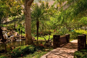 A garden with a pond, palm trees, and a stone pathway.