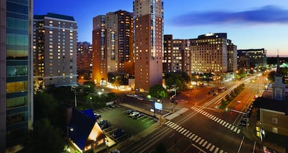 Hilton Arlington