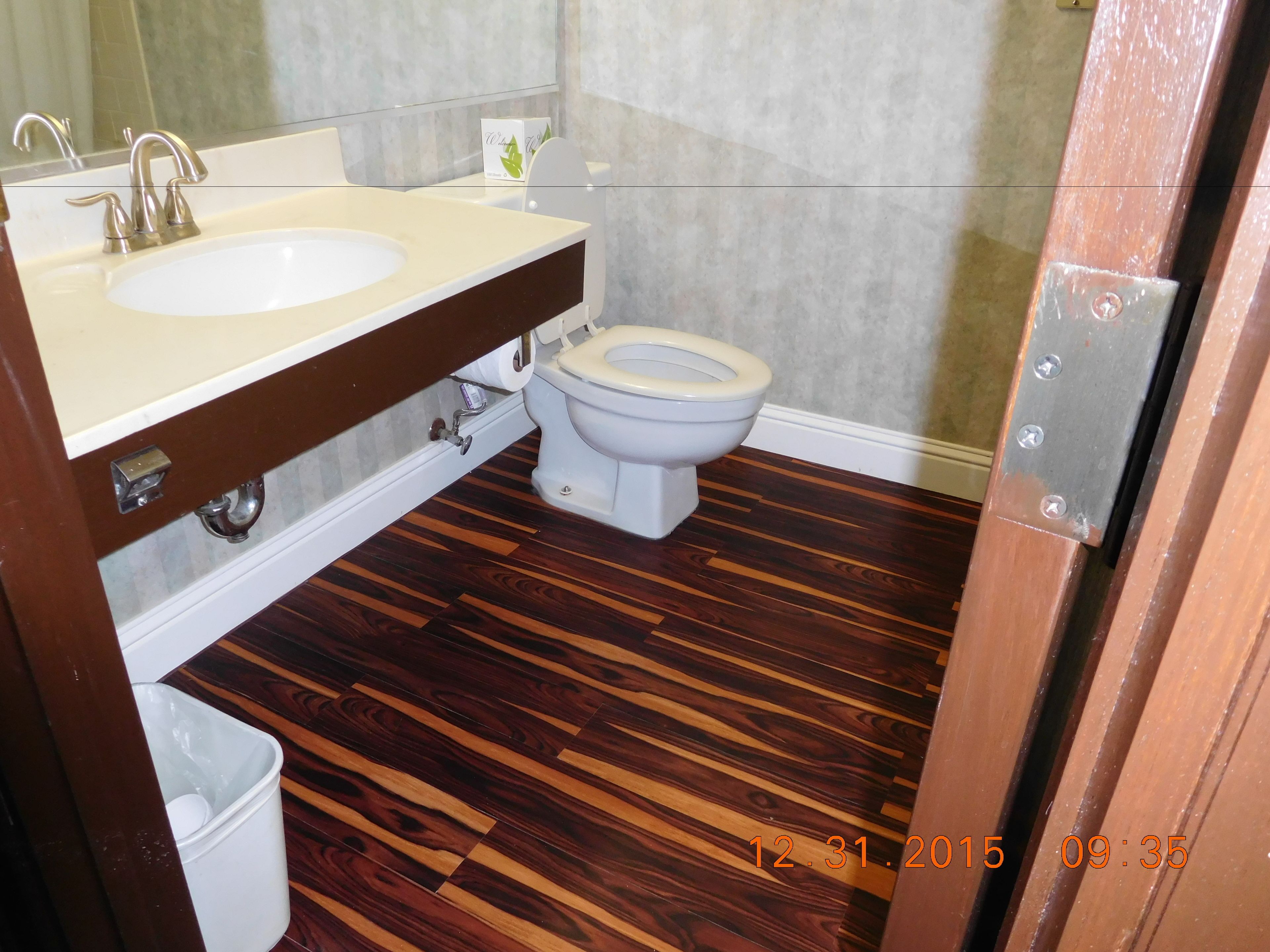 combined shower/bathtub, free toiletries, hair dryer, towels