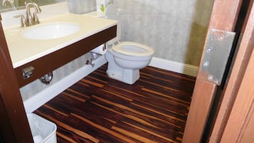 Combined shower/bathtub, free toiletries, hair dryer, towels