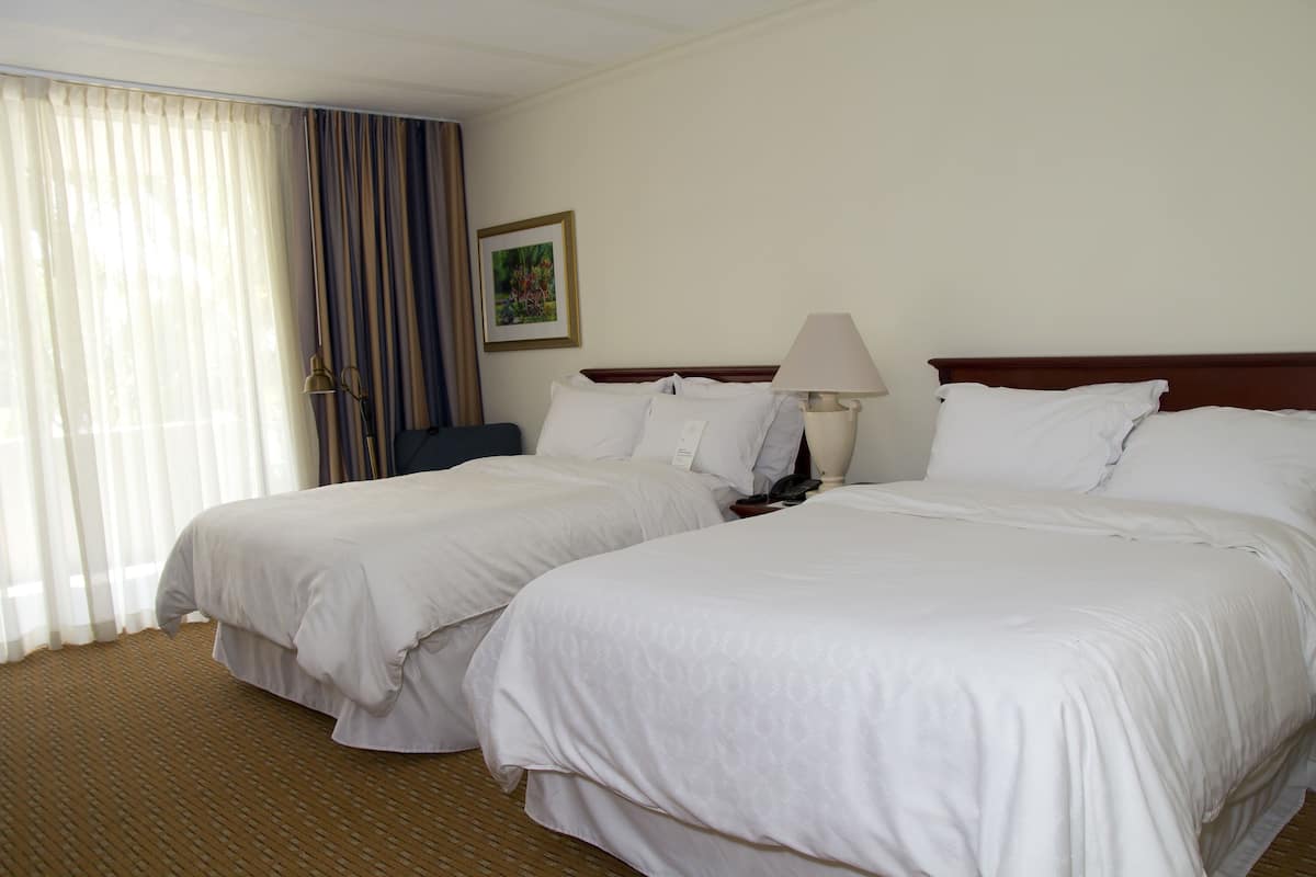 A hotel room with two beds, a lamp, a picture on the wall, and a window with curtains.