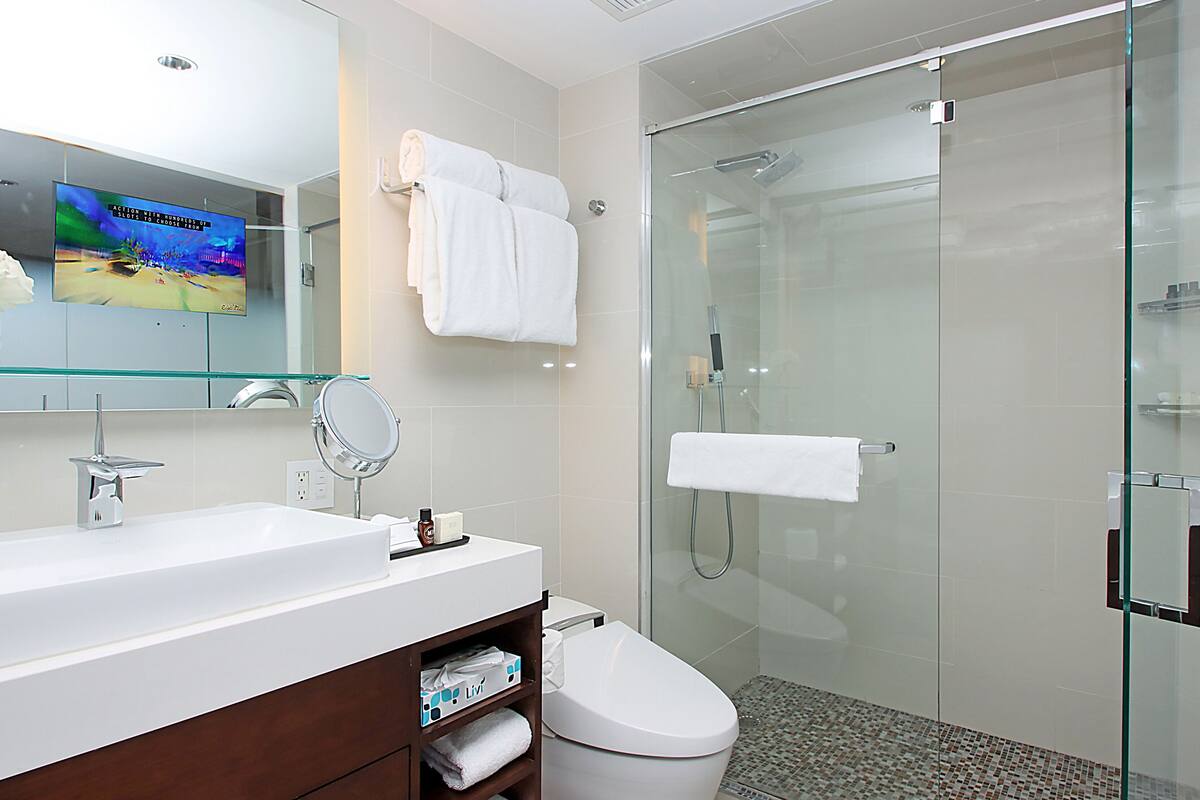 hydromassage showerhead, designer toiletries, hair dryer, bathrobes