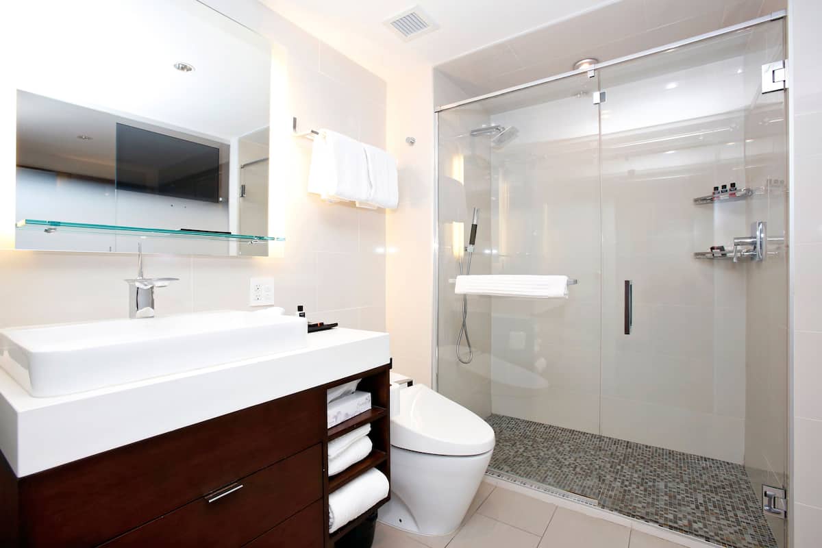 hydromassage showerhead, designer toiletries, hair dryer, bathrobes