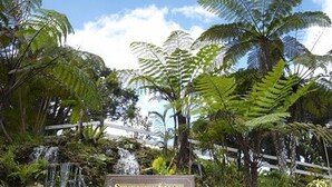 A sign for Strawberry Park with a waterfall and lush greenery.