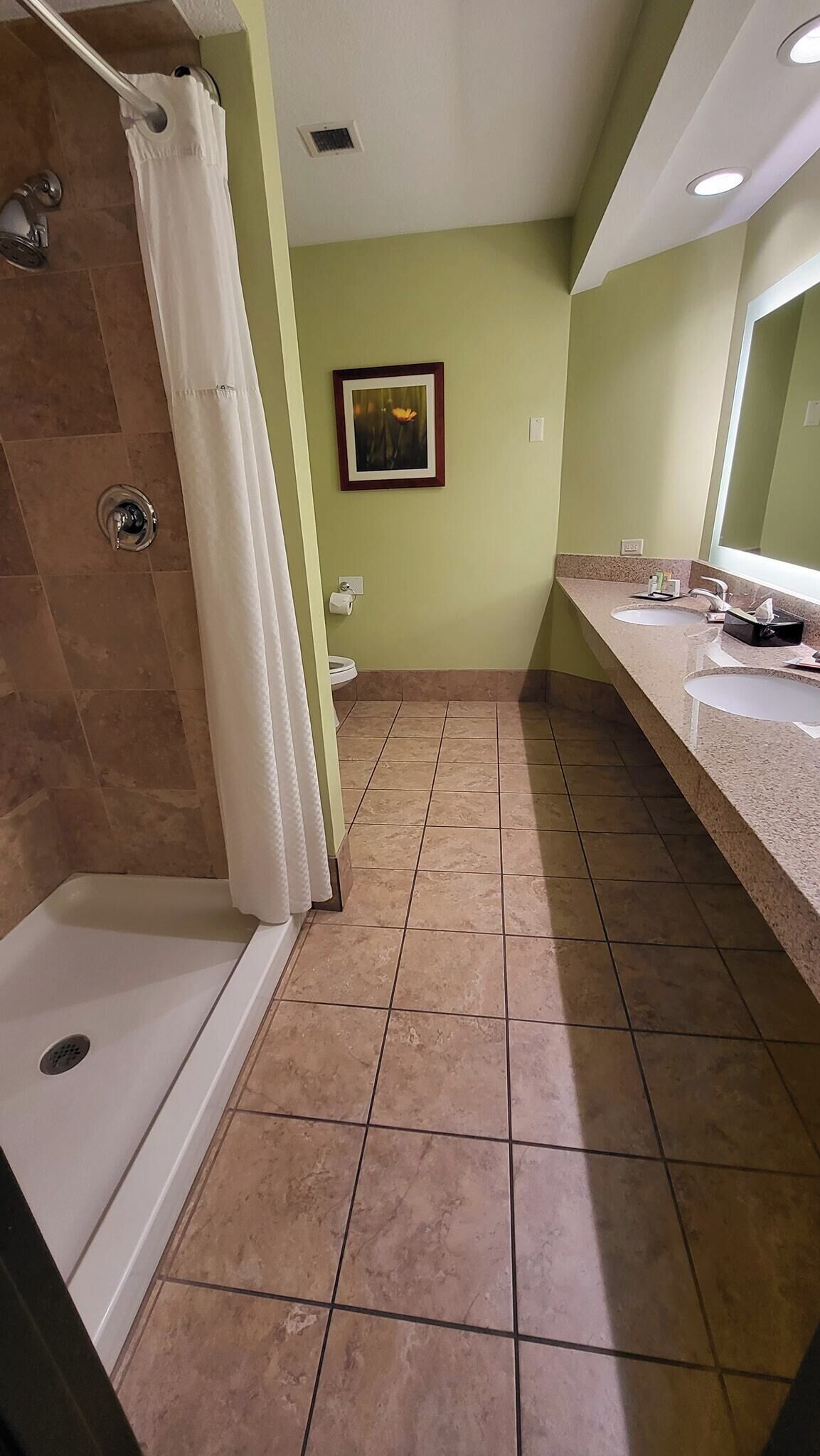 presidential suite, 1 king bed, non smoking (one-bedroom) | bathroom | combined shower/bathtub, eco-friendly toiletries, hair dryer, towels