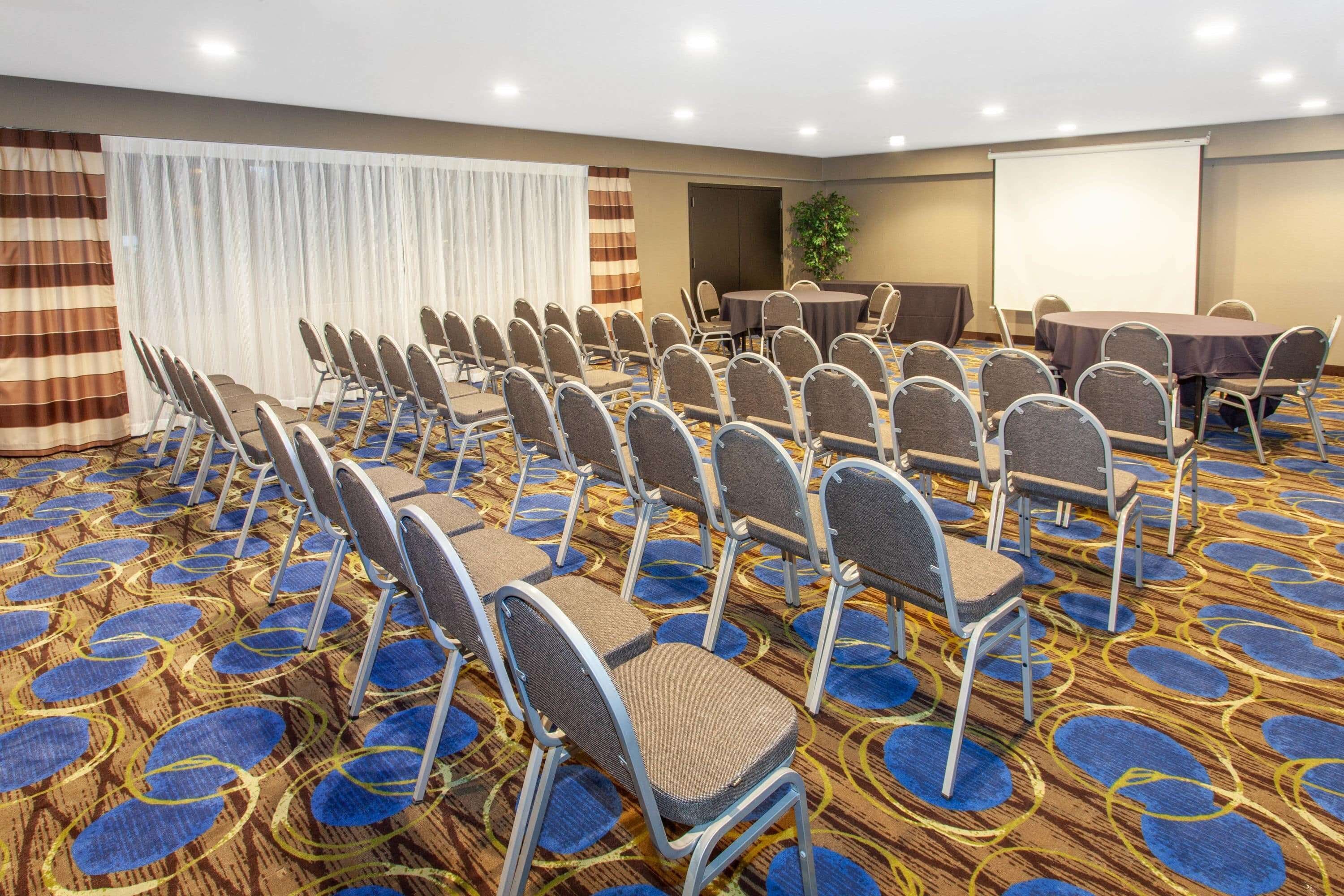 A conference room with rows of chairs, a projector screen, and a table with a plant.