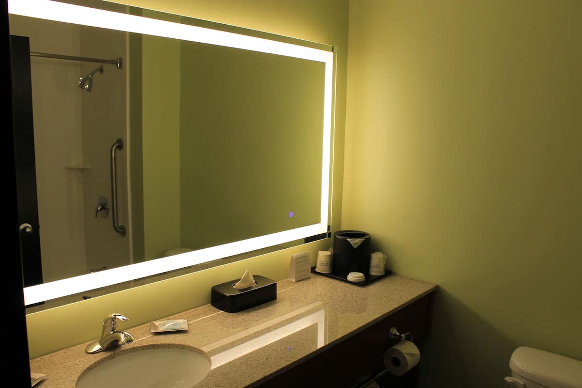 standard room, 1 king bed, non smoking | bathroom | combined shower/bathtub, eco-friendly toiletries, hair dryer, towels