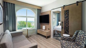 LCD TV, video-game console, pay movies