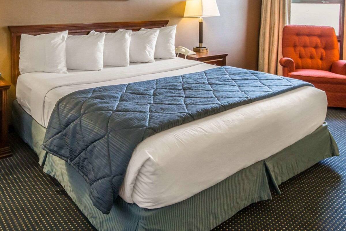 A hotel room with a large bed, a nightstand with a lamp, a chair, and a framed picture on the wall.