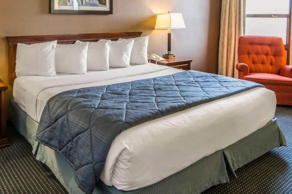 A hotel room with a large bed, a nightstand with a lamp, a chair, and a window with curtains.