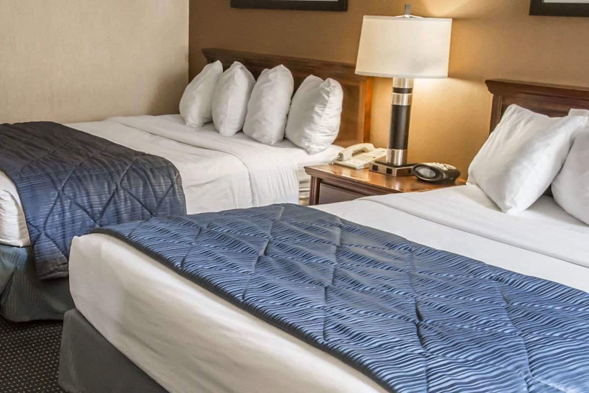 Standard Room, 2 Queen Beds, Non Smoking | Desk, blackout drapes, iron/ironing board, free cribs/infant beds