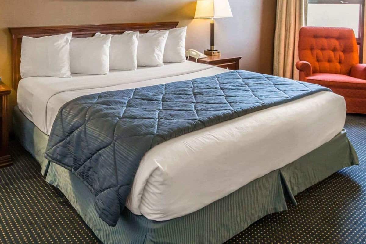 A hotel room with a large bed, a nightstand with a lamp, a chair, and a framed picture on the wall.