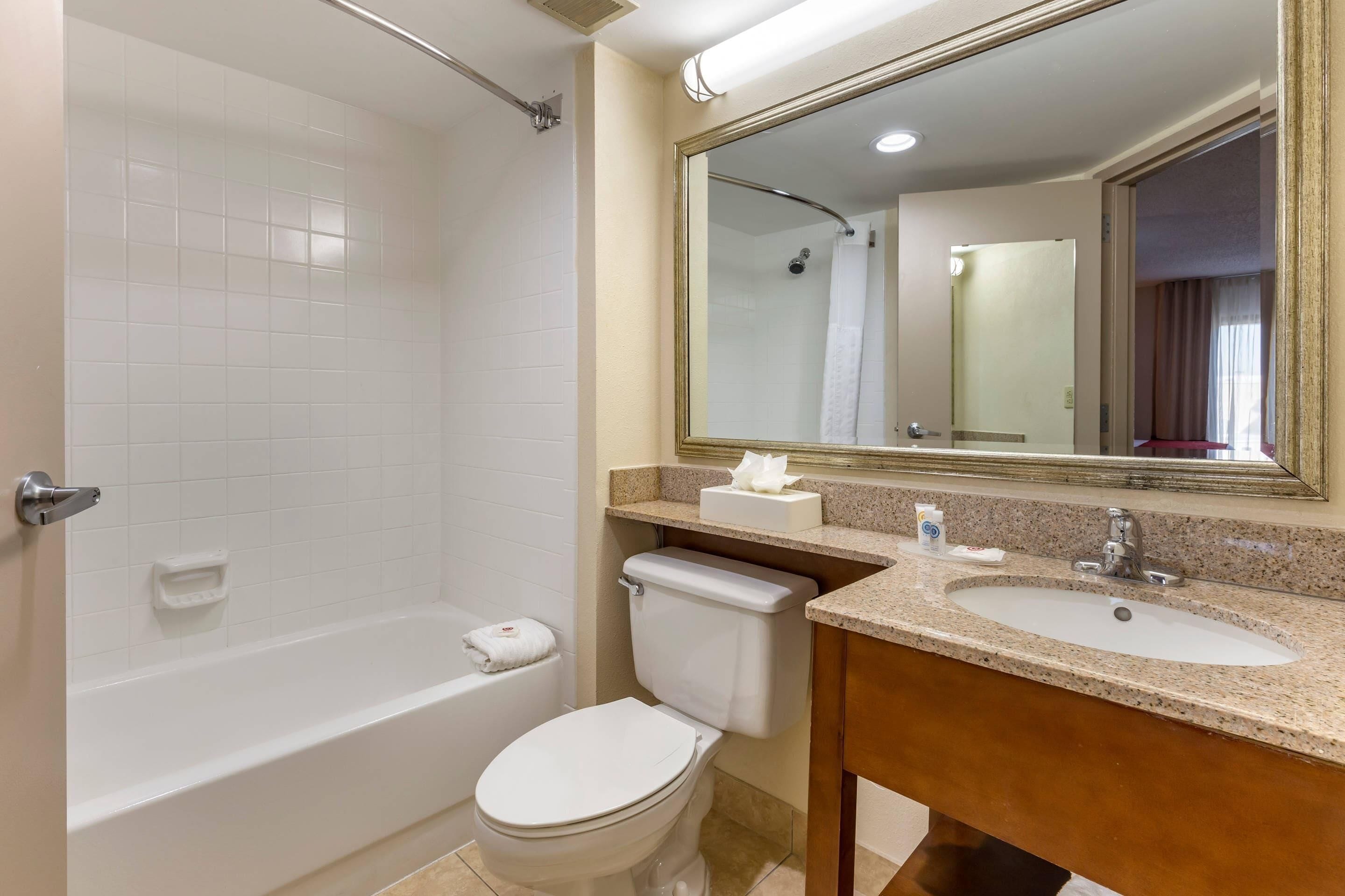 Deluxe Suite, 1 King Bed, Non Smoking | Premium bedding, down comforters, desk, laptop workspace
